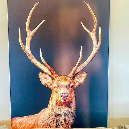 La Grangia - Affitti Brevi Italia Lägenhet *